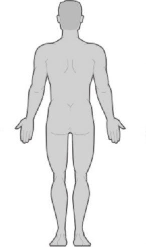 body